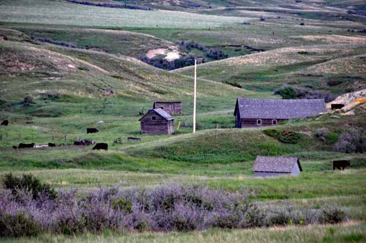 farmhouses